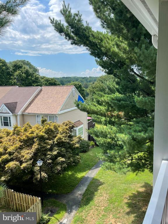 Building Photo - 12220 Eagles Nest Ct