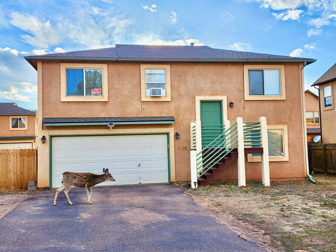 1805 Columbine Village Dr, Woodland Park, CO 80863 House Rental in