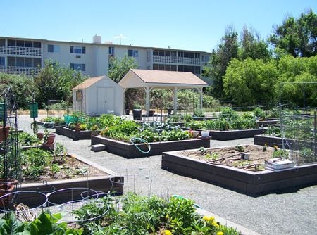 Photo - 635 S Alton Way Apartment