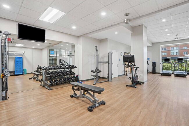 Center Place - Gimnasio - Center Place