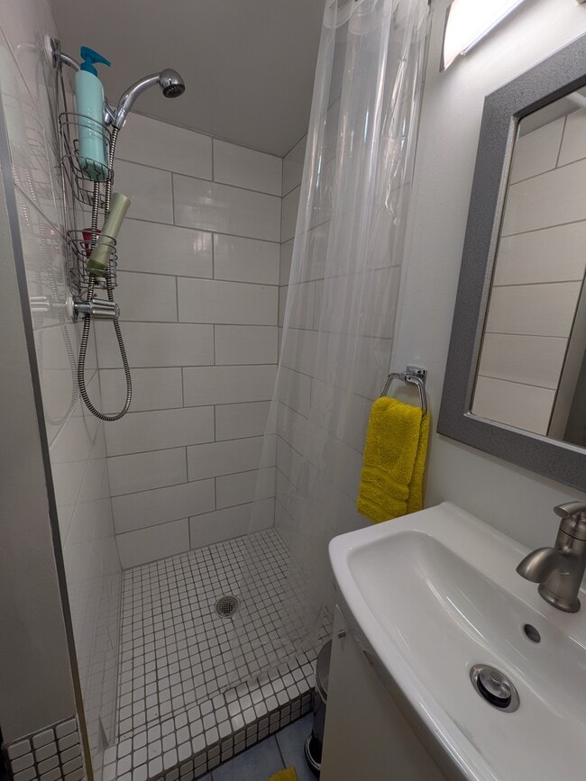 Lower level bathroom - 396 Beacon Ave
