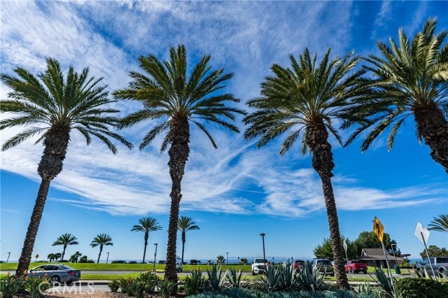 Foto del edificio - 34004 Selva Rd