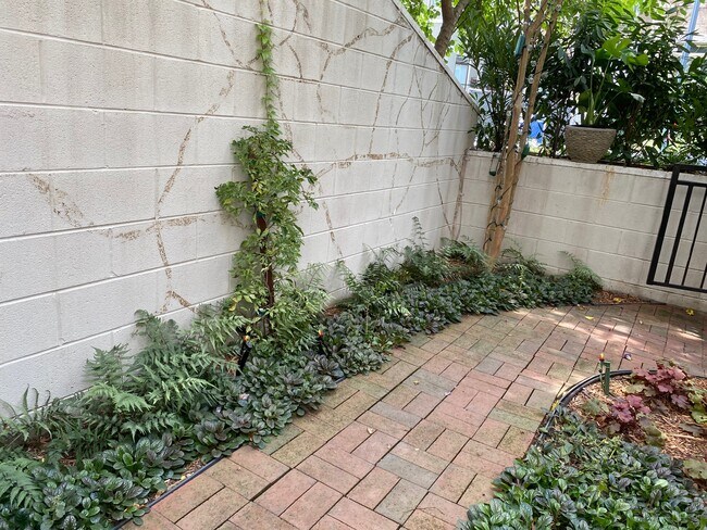 Front Terrace - 2431 Ontario Rd NW