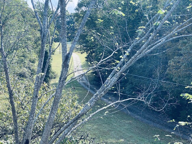 Foto del edificio - 7378 Smiley Hollow Rd