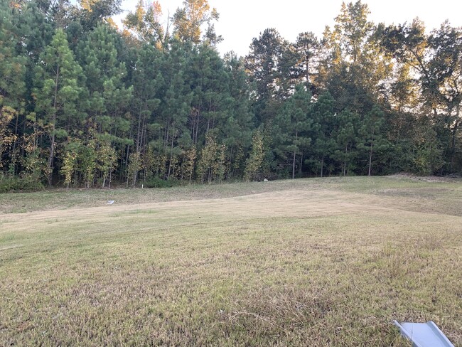 Yard - 417 Kildare Way