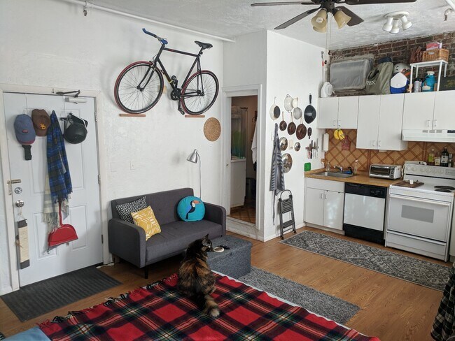 Building Photo - 223 Endicott St