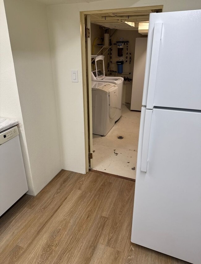 Building Photo - North End Apartment Basement Gem