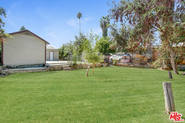Backyard - 1284 Walnut St