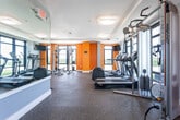 Located at 1040 John F. Kennedy Boulevard in Bayonne, NJ, this well-appointed fitness center offers a comprehensive workout environment designed for both cardio and strength training. The single-floor space is bathed in natural light, courtesy of expansive floor-to-ceiling windows and glass doors that line multiple walls, providing open views of the surrounding outdoor area and connecting directly to an exterior terrace or patio. The bright, airy atmosphere is complemented by bold orange accent walls and structural columns that add a dynamic visual contrast to the neutral gray tones throughout the room. Durable rubber flooring covers the entire space, offering both safety and functionality underfoot. The cardio zone is well-equipped with treadmills, elliptical machines, stationary bikes, and Life Fitness cycling equipment. A dedicated strength training area includes a cable machine, weight bench, free weights, and a squat/power rack. Full-length mirrors along one wall enhance the sense of space while allowing users to monitor their form. Recessed and flush-mounted ceiling fixtures provide consistent overhead lighting throughout. The fitness center is accessed through a key-entry door, ensuring a secure and private environment for users. Overall, the space strikes a balance between functionality and modern design.