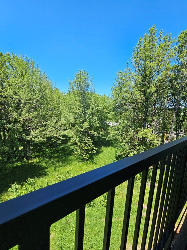 Vista desde la Fase II - Meadow Brook Villas I