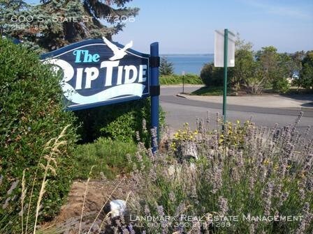 Primary Photo - Beautiful State St. condo with ocean views!