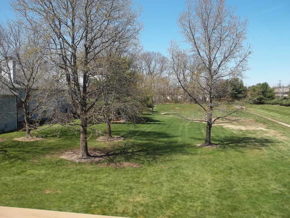 View from deck - 1920 Aspen Dr