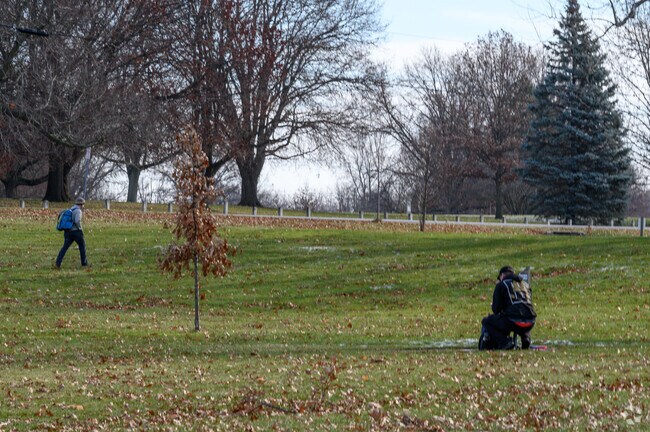 Weekends buzz at Shoaff Park in Northeast Fort Wayne with family fun.