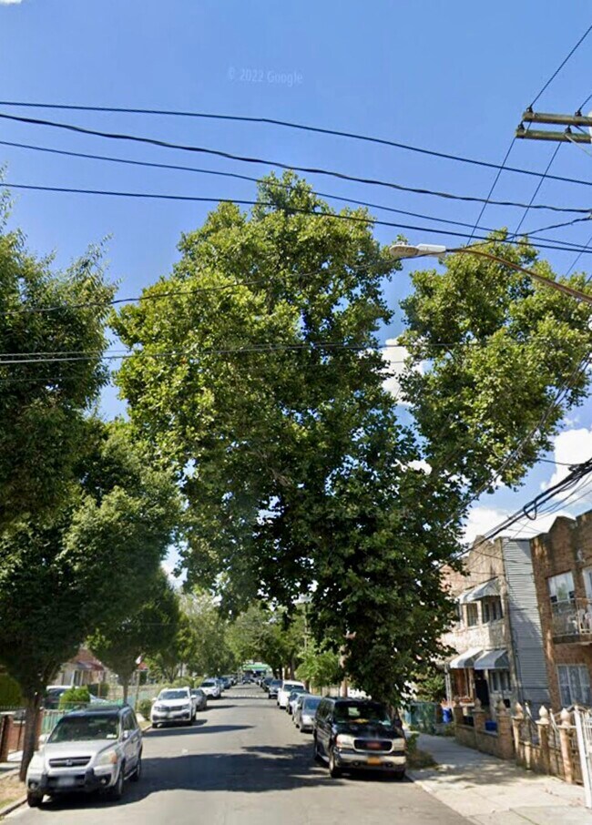 Tree lined Street - 759 Warwick St