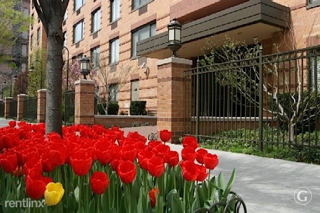Foto del edificio - 315 E 102nd St