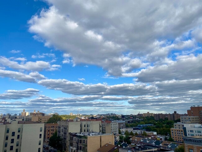 Acceso a la azotea - 1527 Bryant Avenue