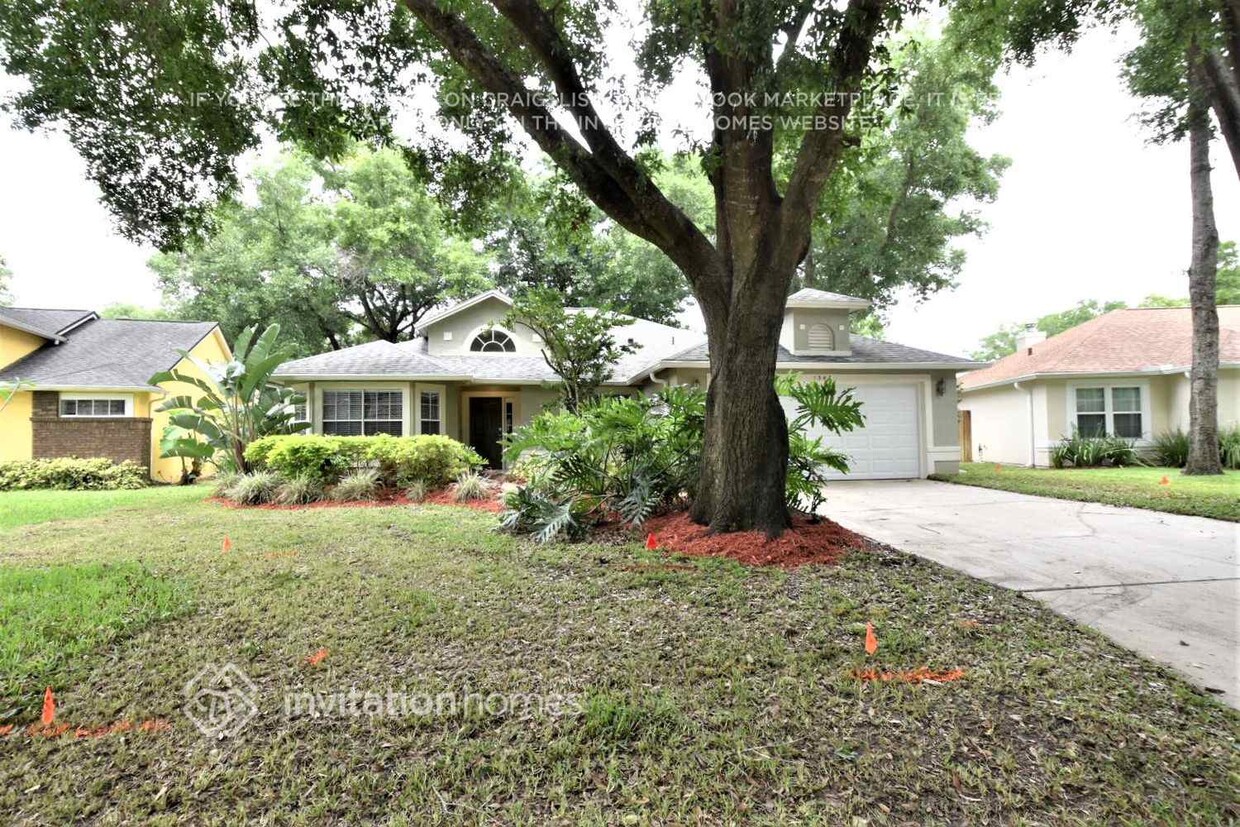 Primary Photo - 1347 American Elm Dr