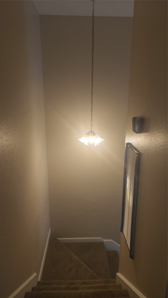 Foto del edificio - 12223 Wild Pine Dr