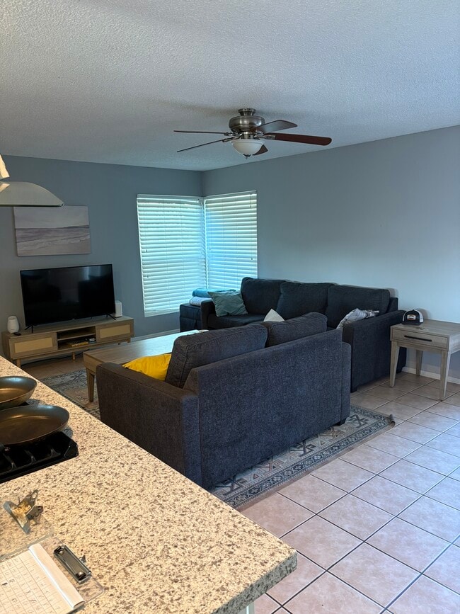 Living room with tv - 10044 Carlton Hills Blvd