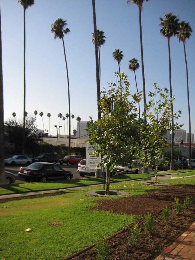 Vista de la calle hacia el oeste. - 1028 S Westmoreland Ave