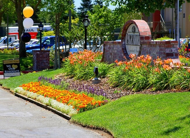 Interior Photo - Lakeshore Apartments - Lake Views!