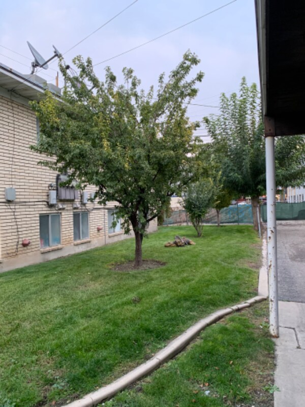 Foto del edificio - 466 E 1300 S