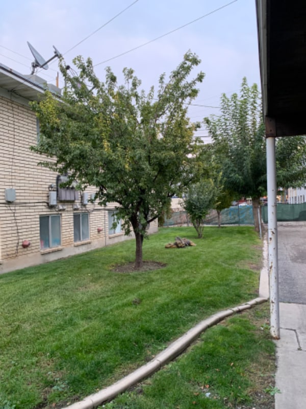 Building Photo - 466 E 1300 S