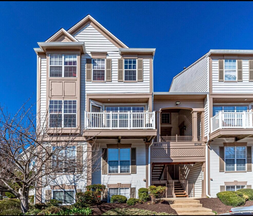 8248 Catbird Cir Unit 302, Lorton, VA 22079 Condo for Rent in Lorton
