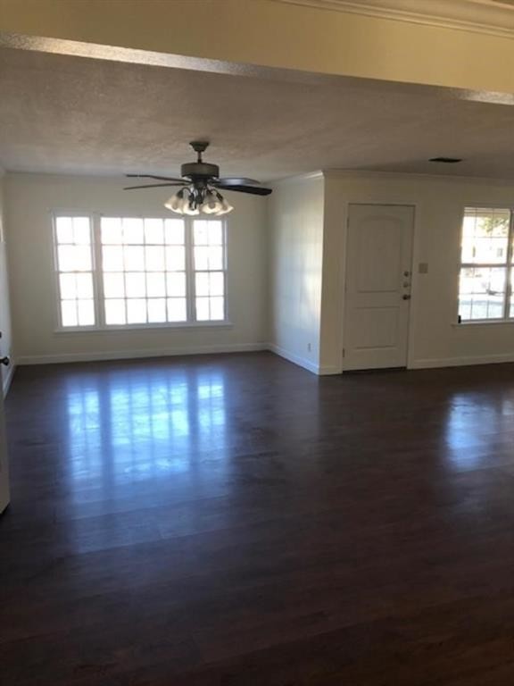 Building Photo - 2341 Moore St