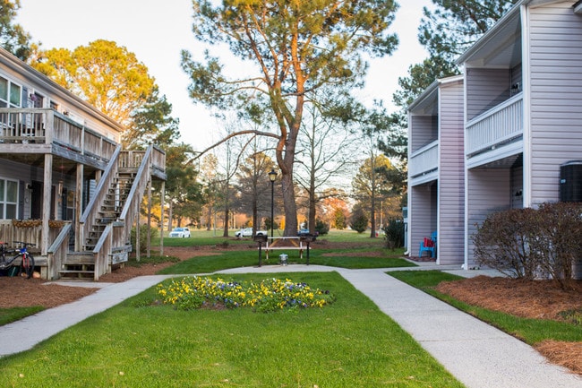 Courtyard Area - Ashton Woods at East Carolina