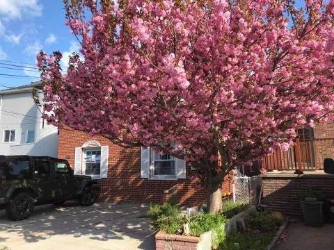 Foto del edificio - 734 King Ave