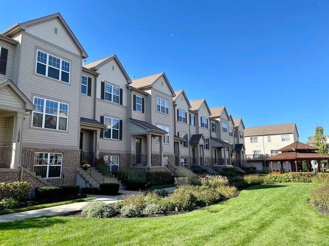 1238 Evergreen Ave, Des Plaines, IL 60016 Townhome Rentals in Des