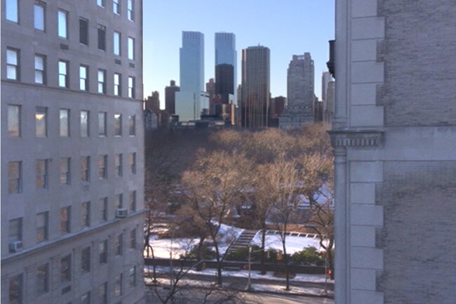 Vista al parque desde todos los apartamentos de primera línea. - 3 E 63rd St