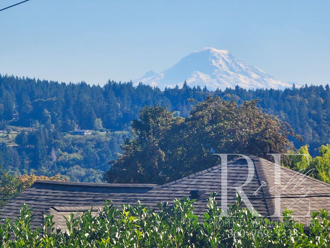 Primary Photo - Fantastic Manette; Seattle Peek-a-boo