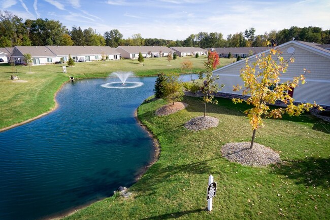 Charming Greenery and Water Feature - Redwood Avon Lake