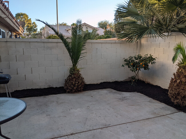 Private courtyard - 2829 Shannon Cove Dr
