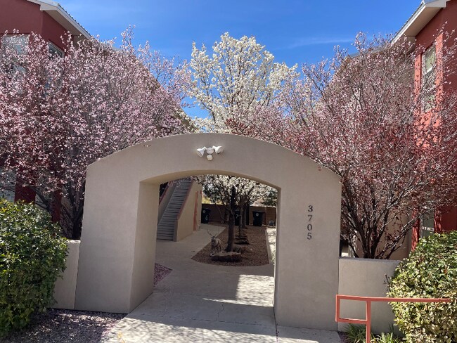 Foto del edificio - 3705 Lafayette Dr NE