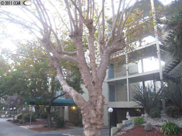 Building Photo - 1 bed 1 bath Condo