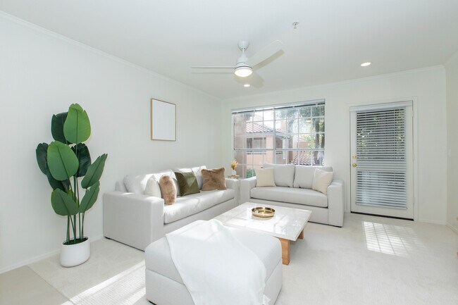 Photo - 10101 N Arabian Trail Apartment