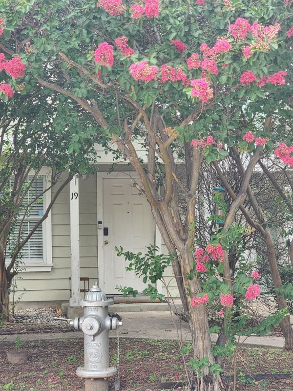 Building Photo - 19 Autumn Pass