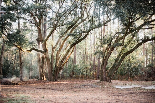 Building Photo - 3480 Johan Blvd