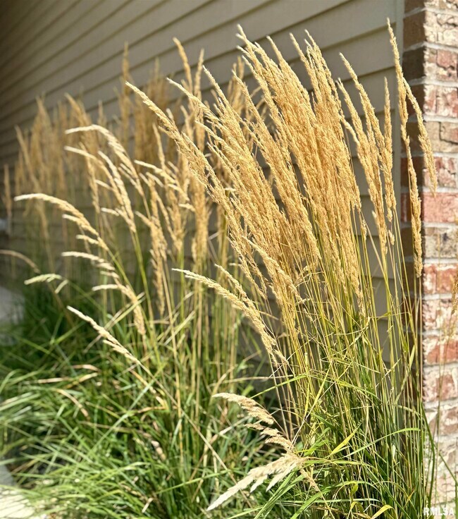 Foto del edificio - 7615 Walnut Bend Dr