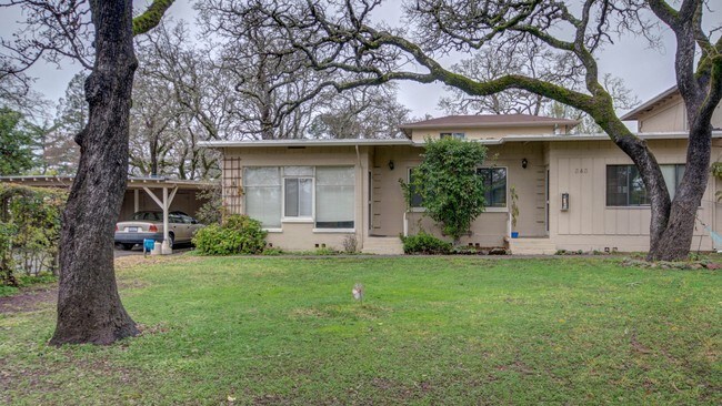 Foto del edificio - 343 E Thomson Ave