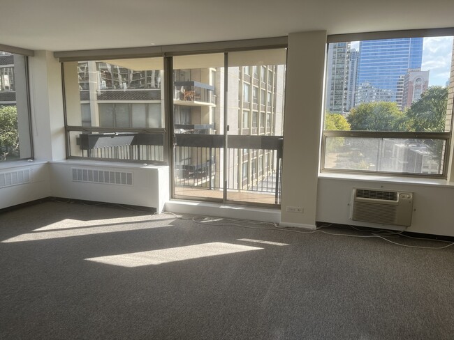 Foto del edificio - 1360 N Sandburg Terrace
