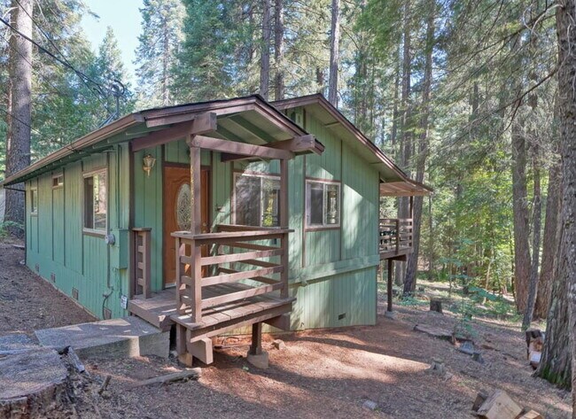 Foto del edificio - Darling 2-bedroom cabin in the woods!