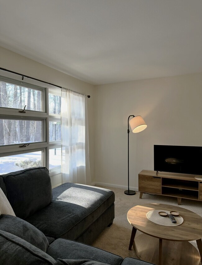 Luminoso apartamento amueblado de 1 dormitorio. - Parkwood Village Apartments