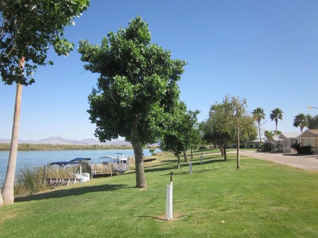 Frente al río - 1300 Villa Shores Dr