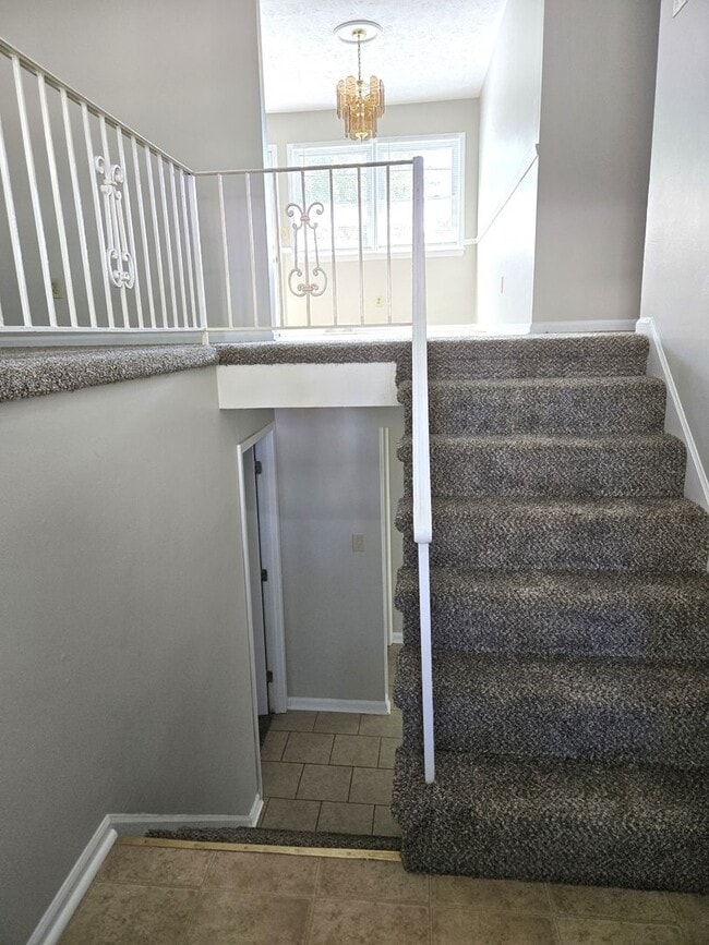 Building Photo - Spacious Split Level In Gainesway   20260501