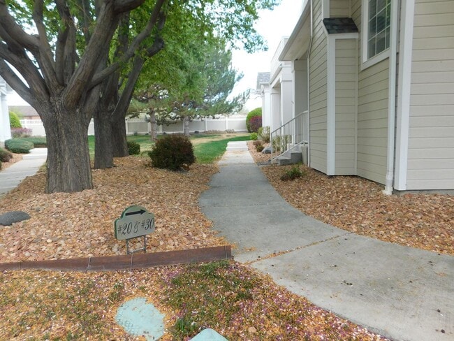 Photo - Close to St Mary's/CMU House