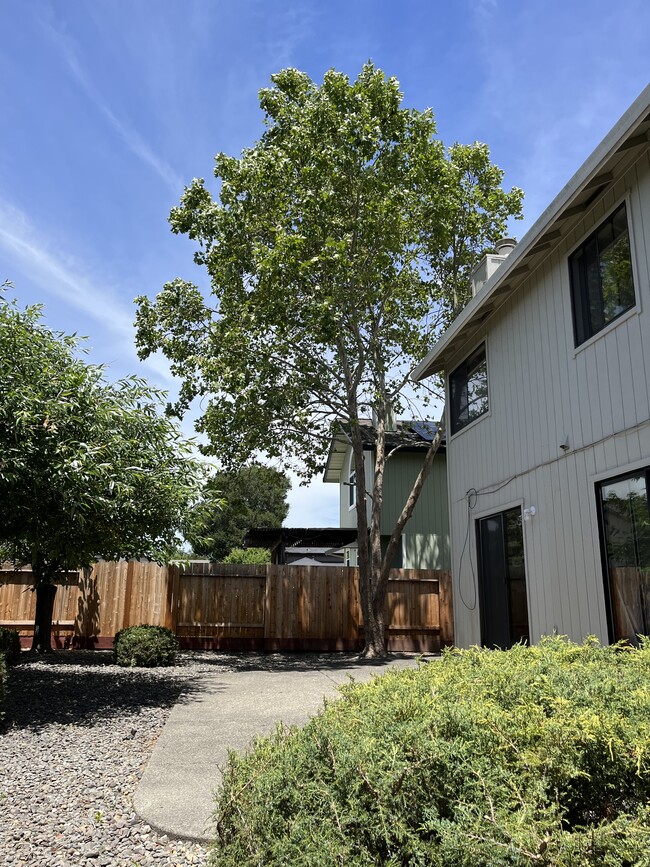 Building Photo - 170 Elsbree Cir